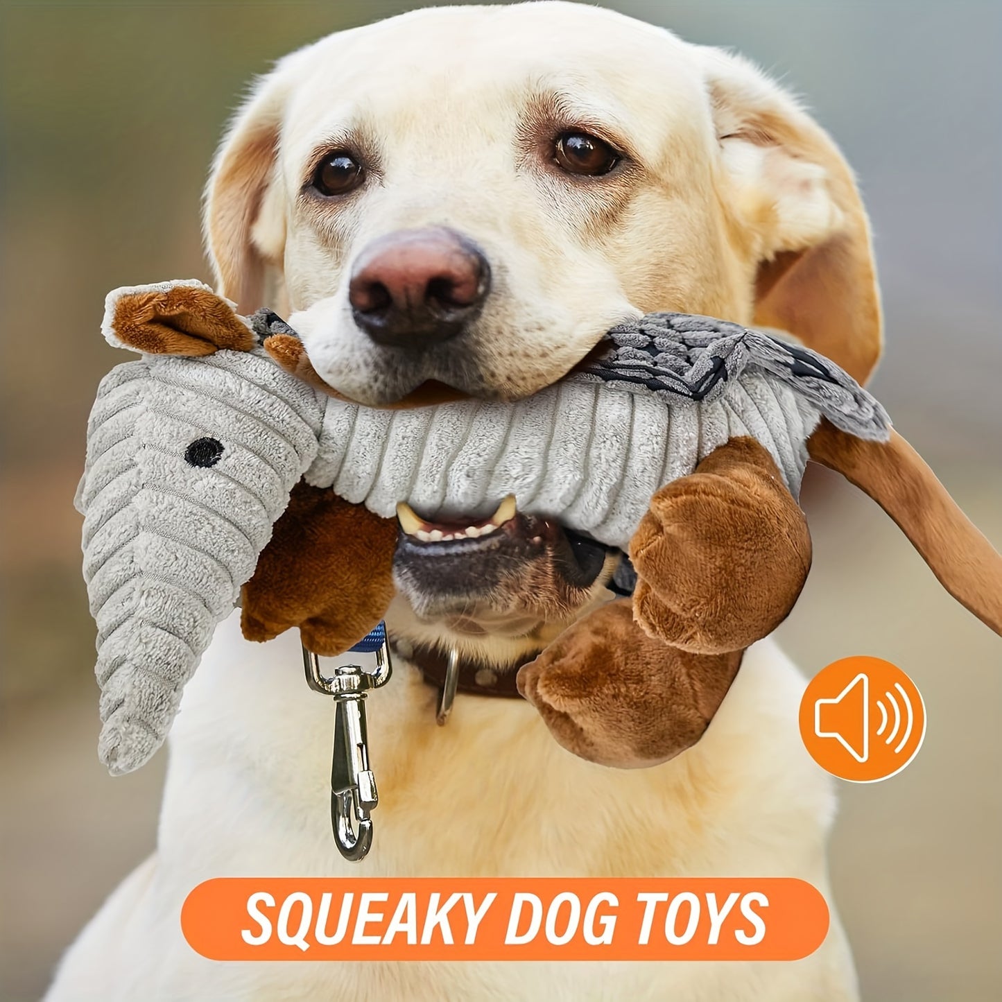 Squeaky Armadillo Dog Toy