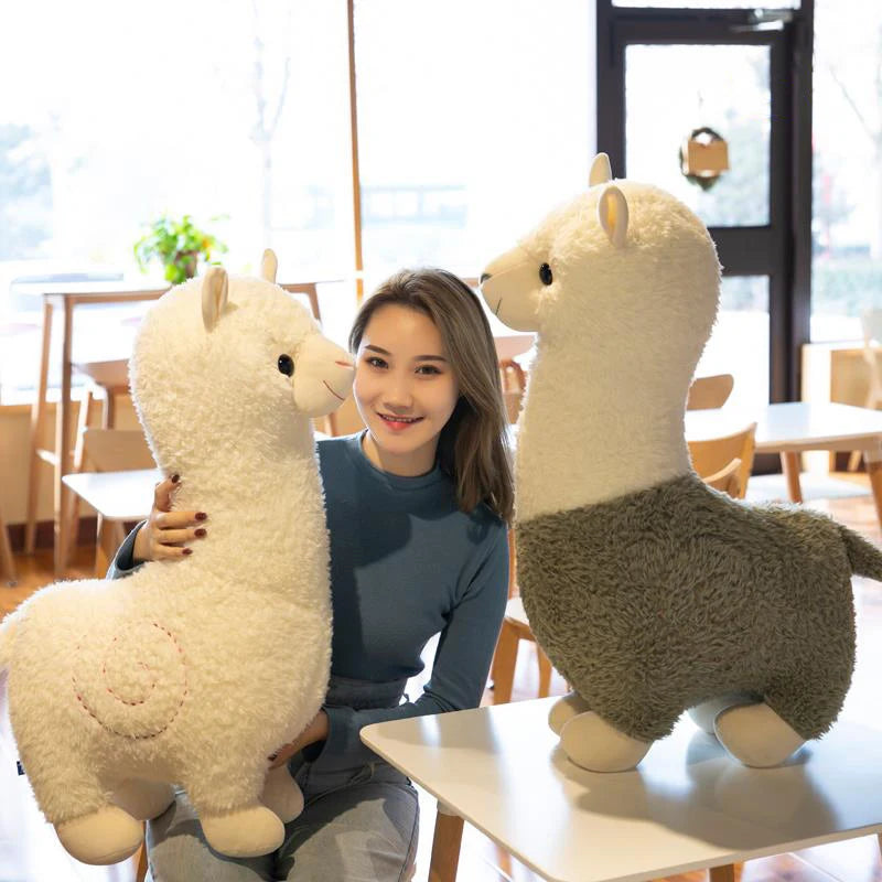 Alpaca Wool Plush